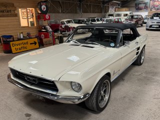 /photos/11065/181ff9a6-01ce-e467-1e3a-902db0cfabb5_i320x240.jpg